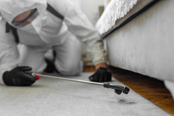 Professional Pest Control technician working in Elgin, MN
