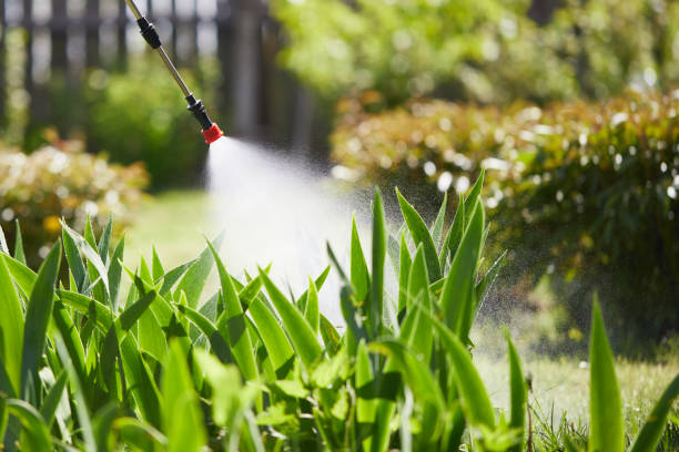 24/7 Emergency Pest Control experts in Elgin, MN